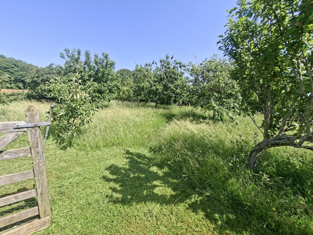 The orchard courtyard before landscaping work began