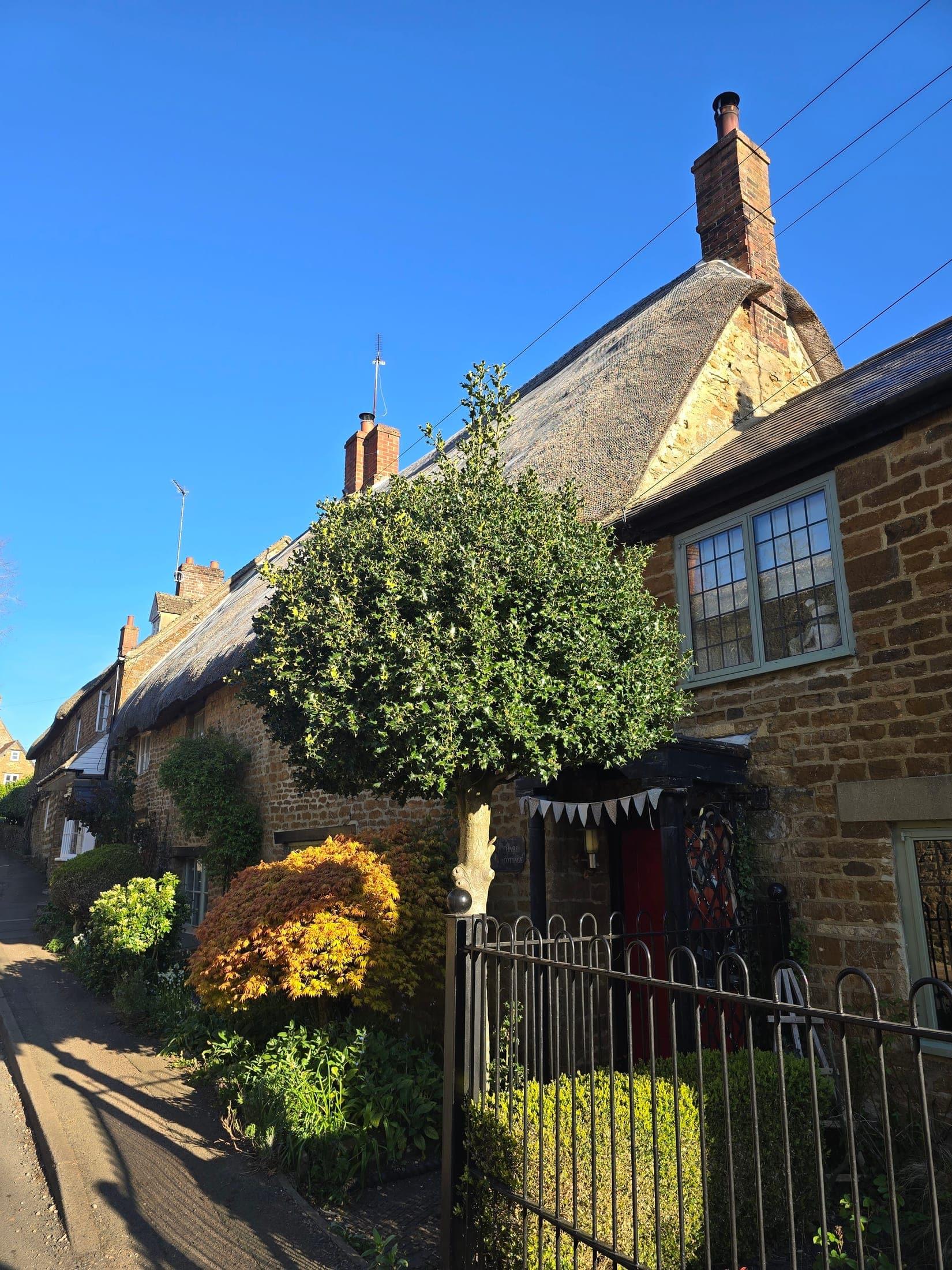 Pruned garden tree beside a stone cottage and iron railings