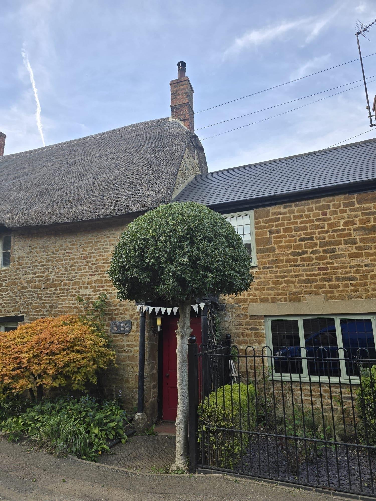 Rounded garden tree in front of a stone cottage